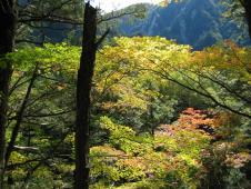 gal/Do-Nichi Kippu/Nagano - Kamikochi/_thb_109_0924.jpg